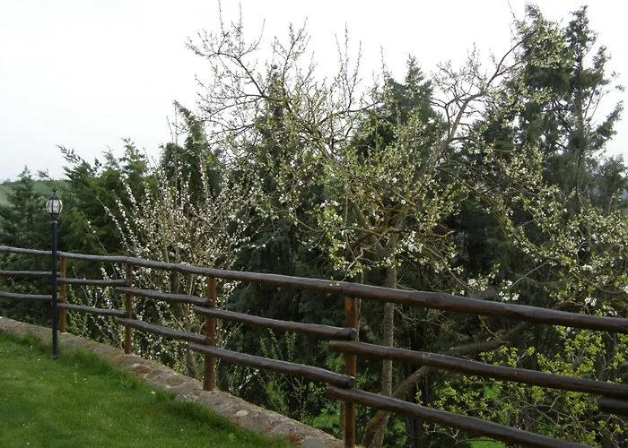 Agriturismo Collesassi