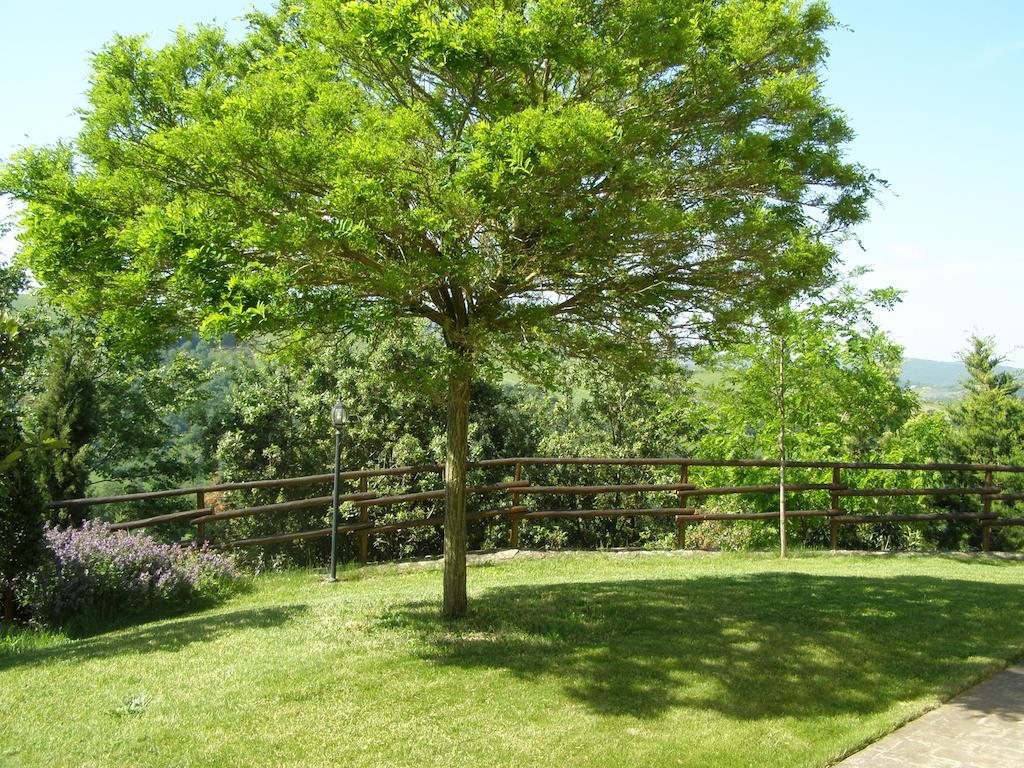Farm stay Collesassi