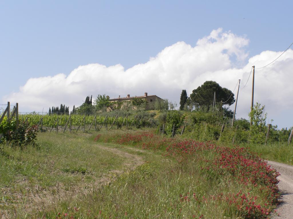 Collesassi